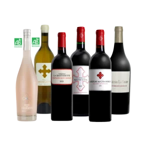 SELECTION DES DOMAINES